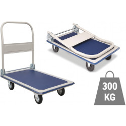 Wózek Platformowy...