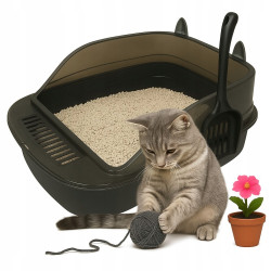 Duża Kuweta dla Kota z...